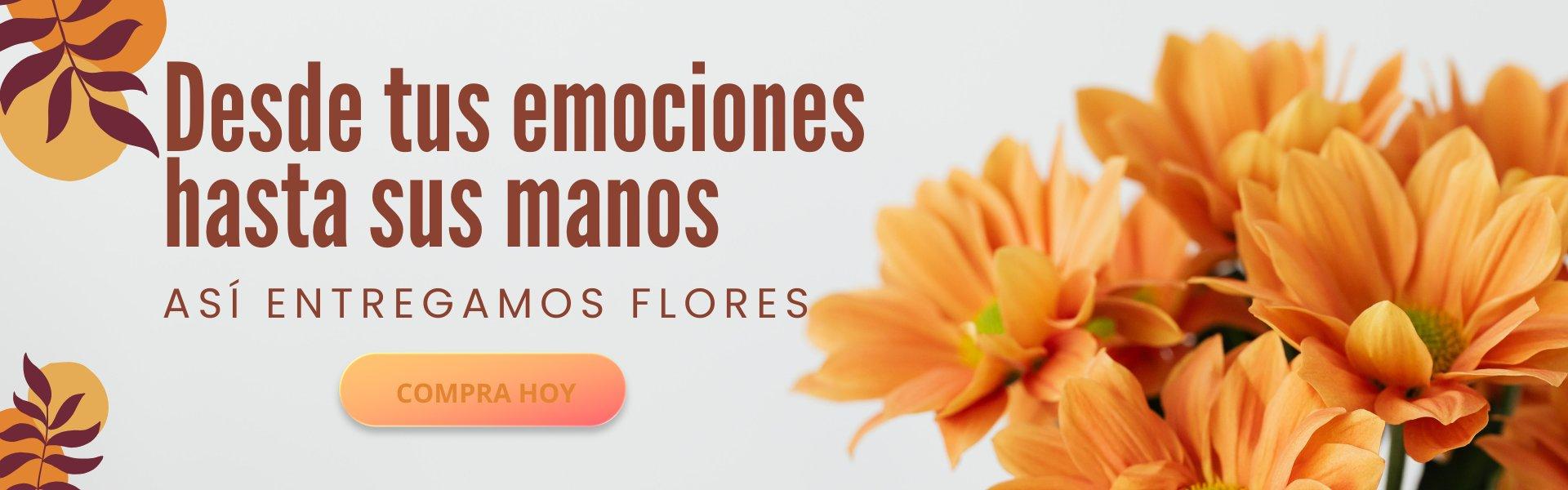 flores|flores popayan |entrega a domicilio 